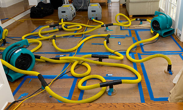 Professional Basement Flood Cleanup technician working in Bostwick, GA
